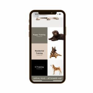 Dog trainer website services on Squarespace 