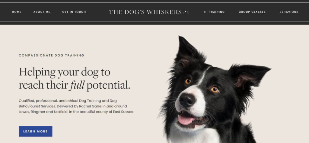 The dogs whiskers dog trainer website