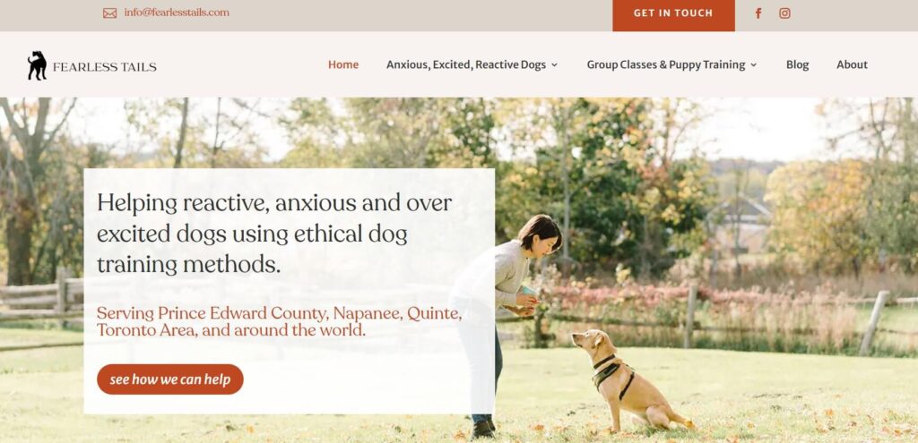 Fearless tails dog trainer website