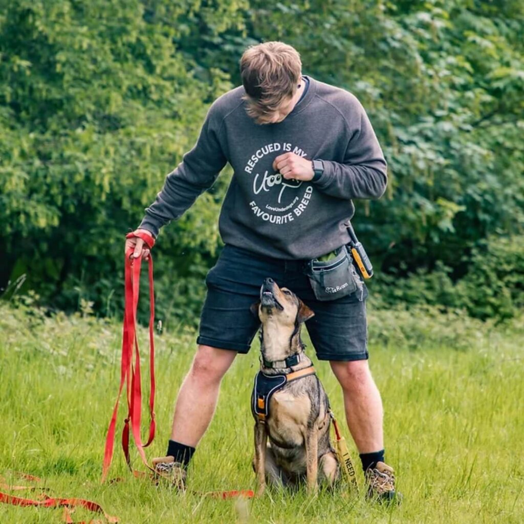 Toby Craze dog trainer demonstrating his process and expertise with foreign rescue dogs